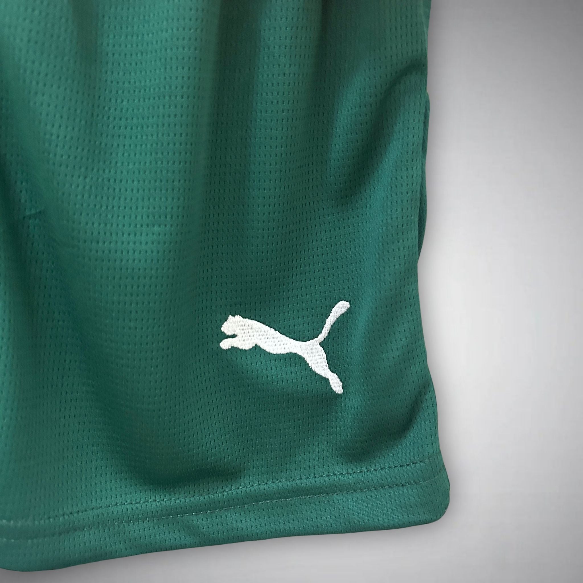 2025 Portugal Home Kids Size Kit - Premium Quality Jersey at FootballPrestige.com