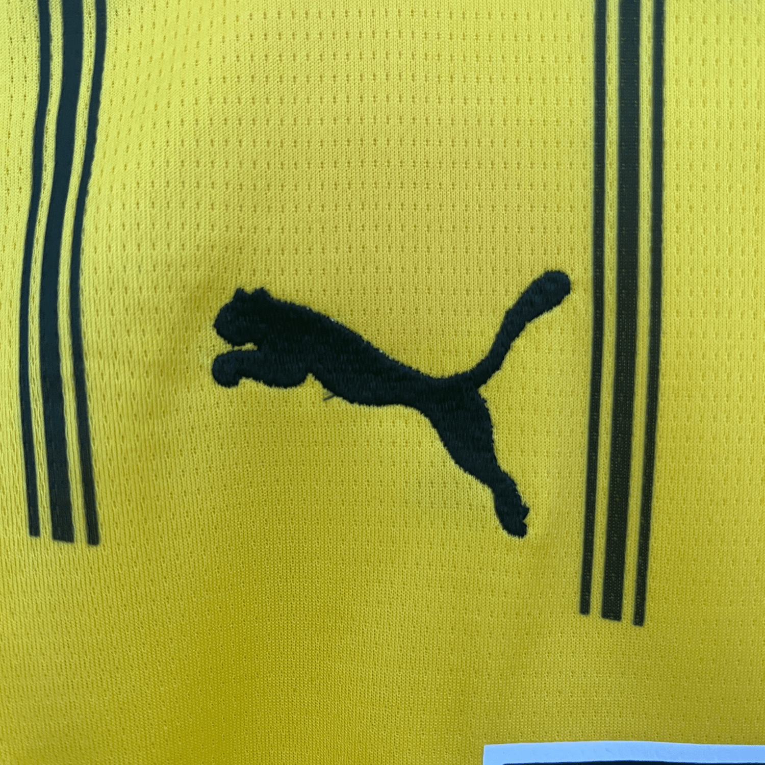 24/25 Borussia Dortmund Home Kids Size Kit - Premium Quality Jersey at FootballPrestige.com