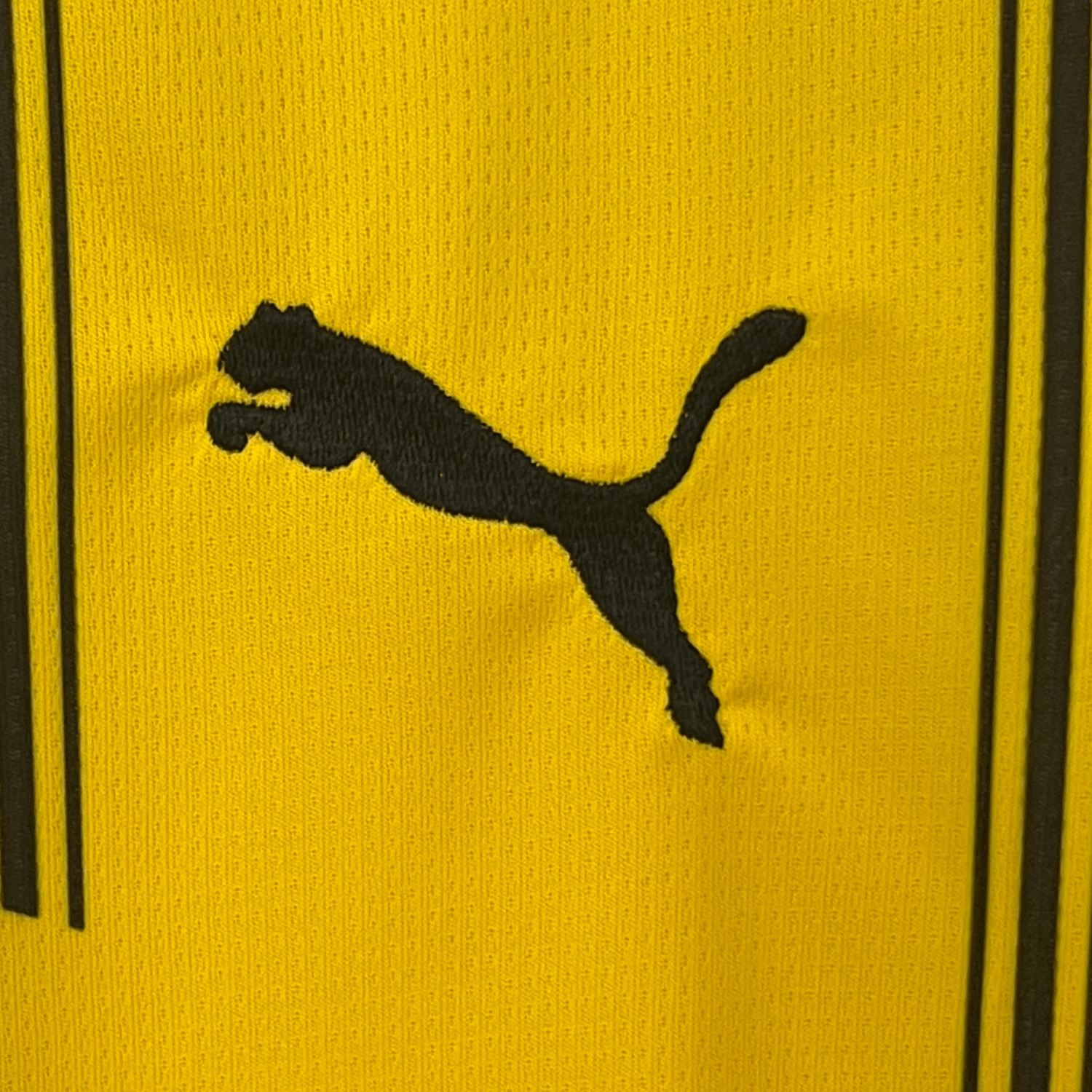 24/25 Borussia Dortmund Home Kit - Premium Quality Jersey at FootballPrestige.com