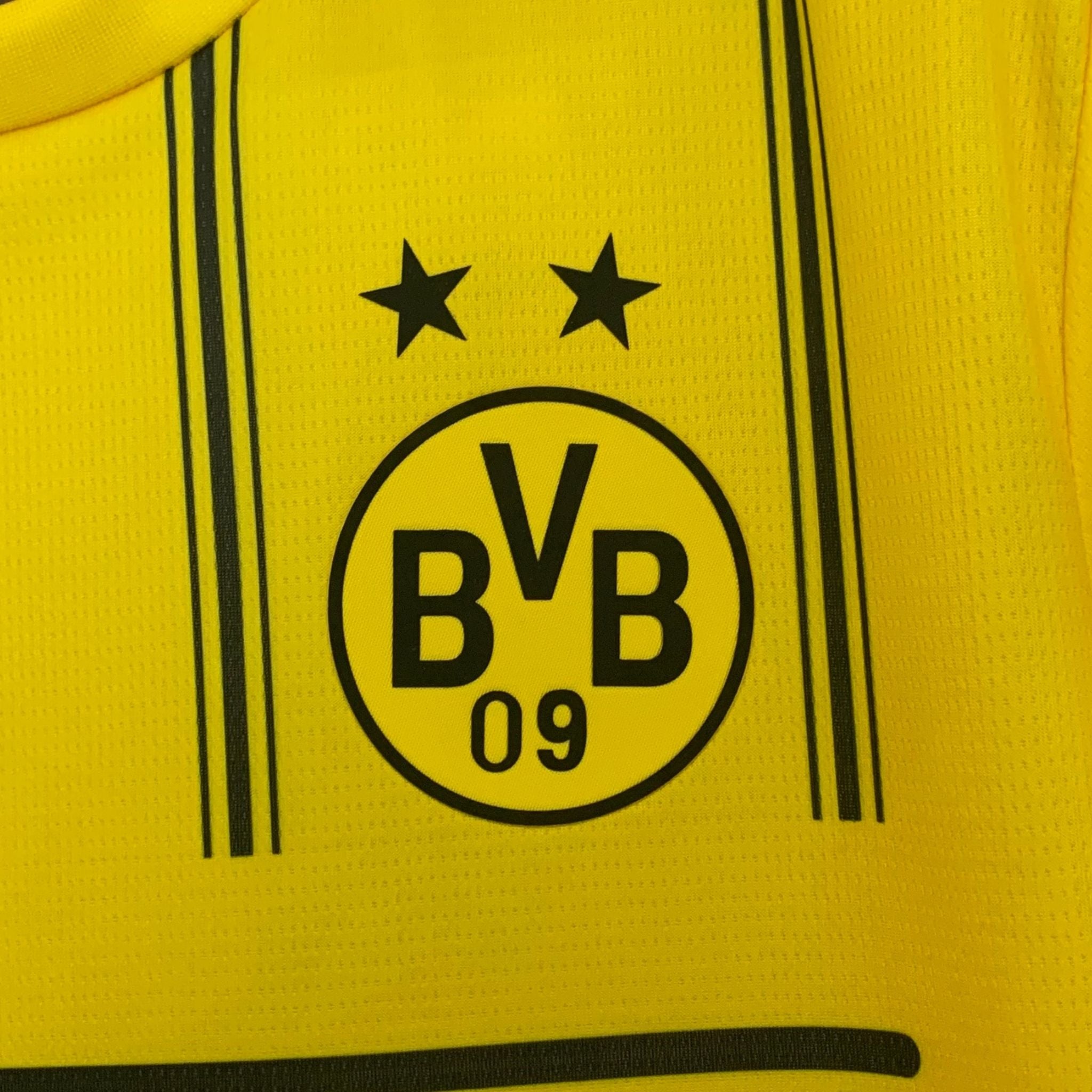 Borussia Dortmund x One Piece Premium Kit