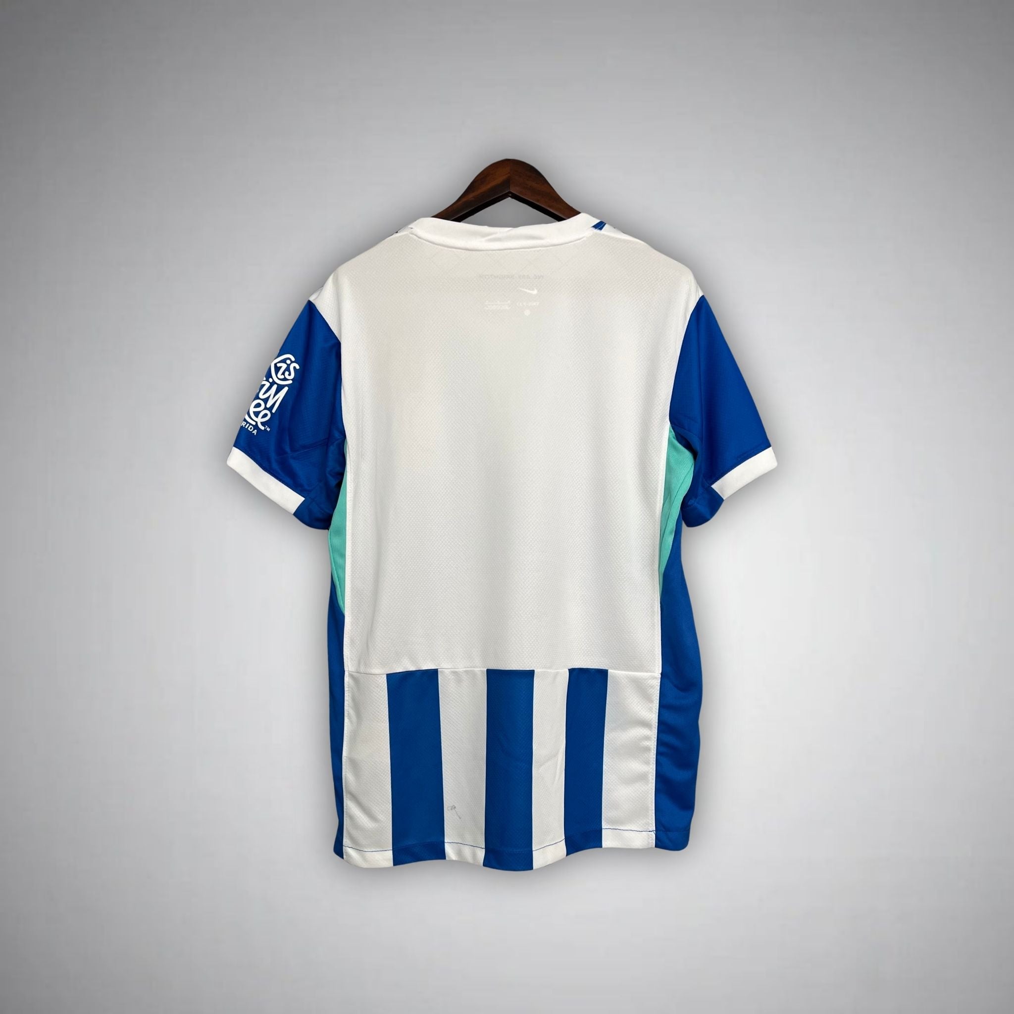 25/26 Brighton Home Kit - Premium Quality Jersey at FootballPrestige.com
