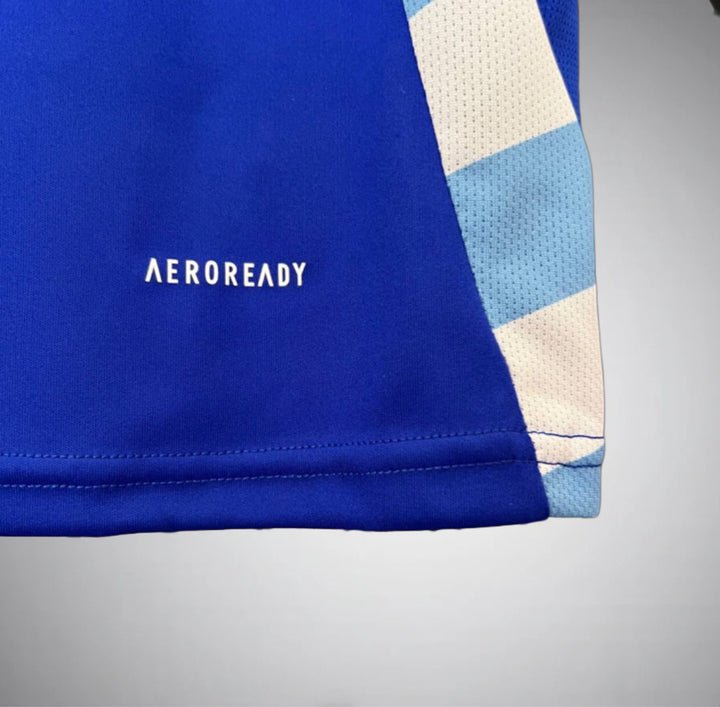 Argentina 2024 Away Kit - Premium Quality Jersey at FootballPrestige.com