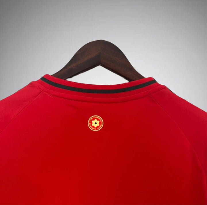 Wales 2024 Home Kit - Premium Quality Jersey at FootballPrestige.com