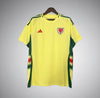 Wales 2024 Away Kit - Premium Quality Jersey at FootballPrestige.com