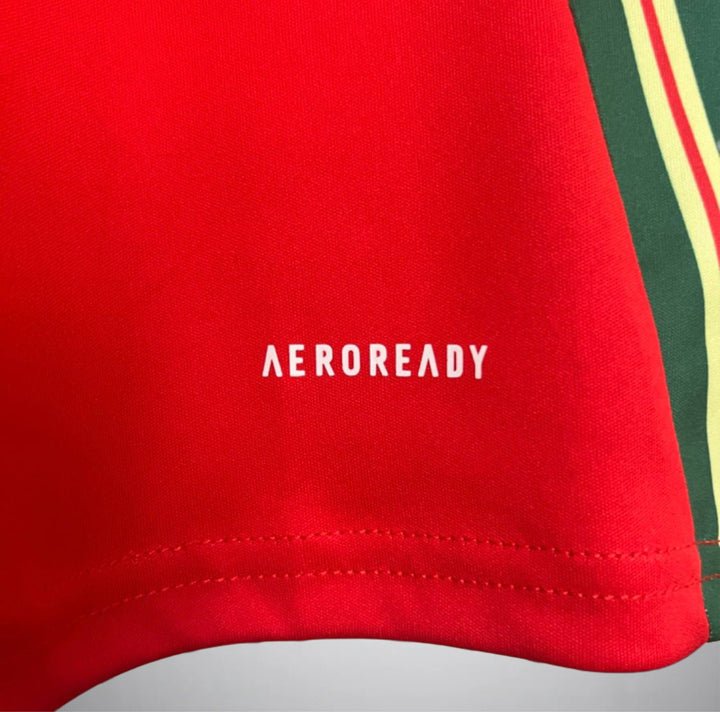 Wales 2024 Home Kit - Premium Quality Jersey at FootballPrestige.com