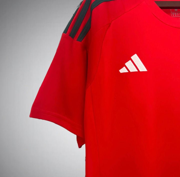 Wales 2024 Home Kit - Premium Quality Jersey at FootballPrestige.com